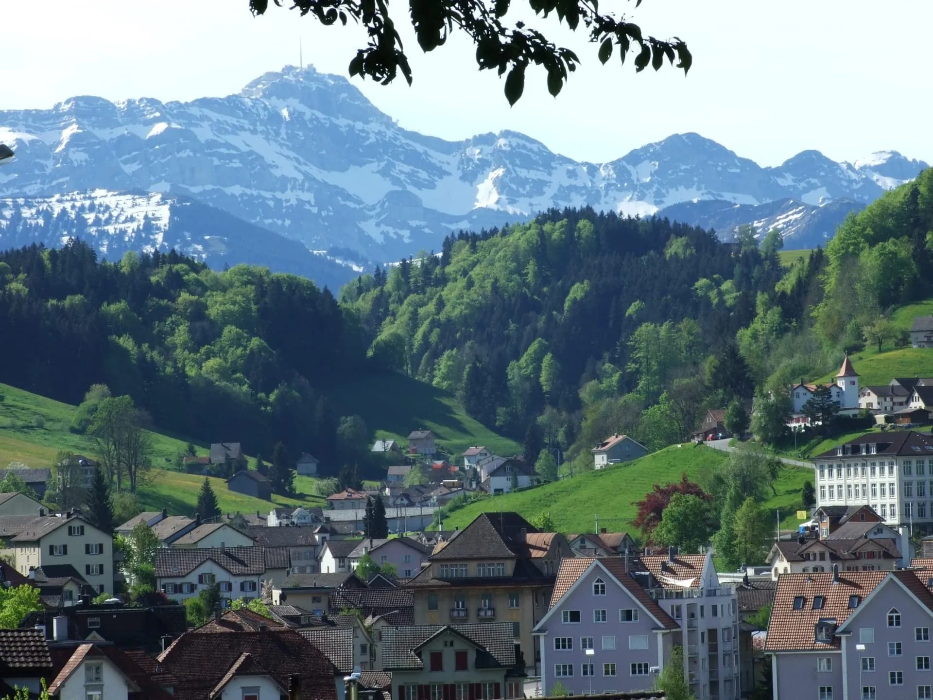 Alpine village nestled in green hills below snow-capped mountains, viewed through tree branches.