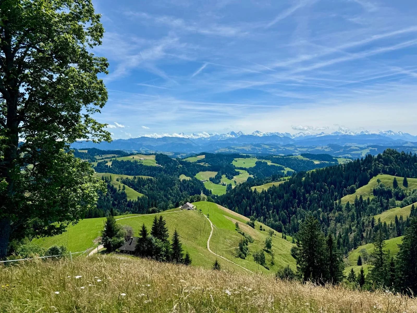 view of emmental valley