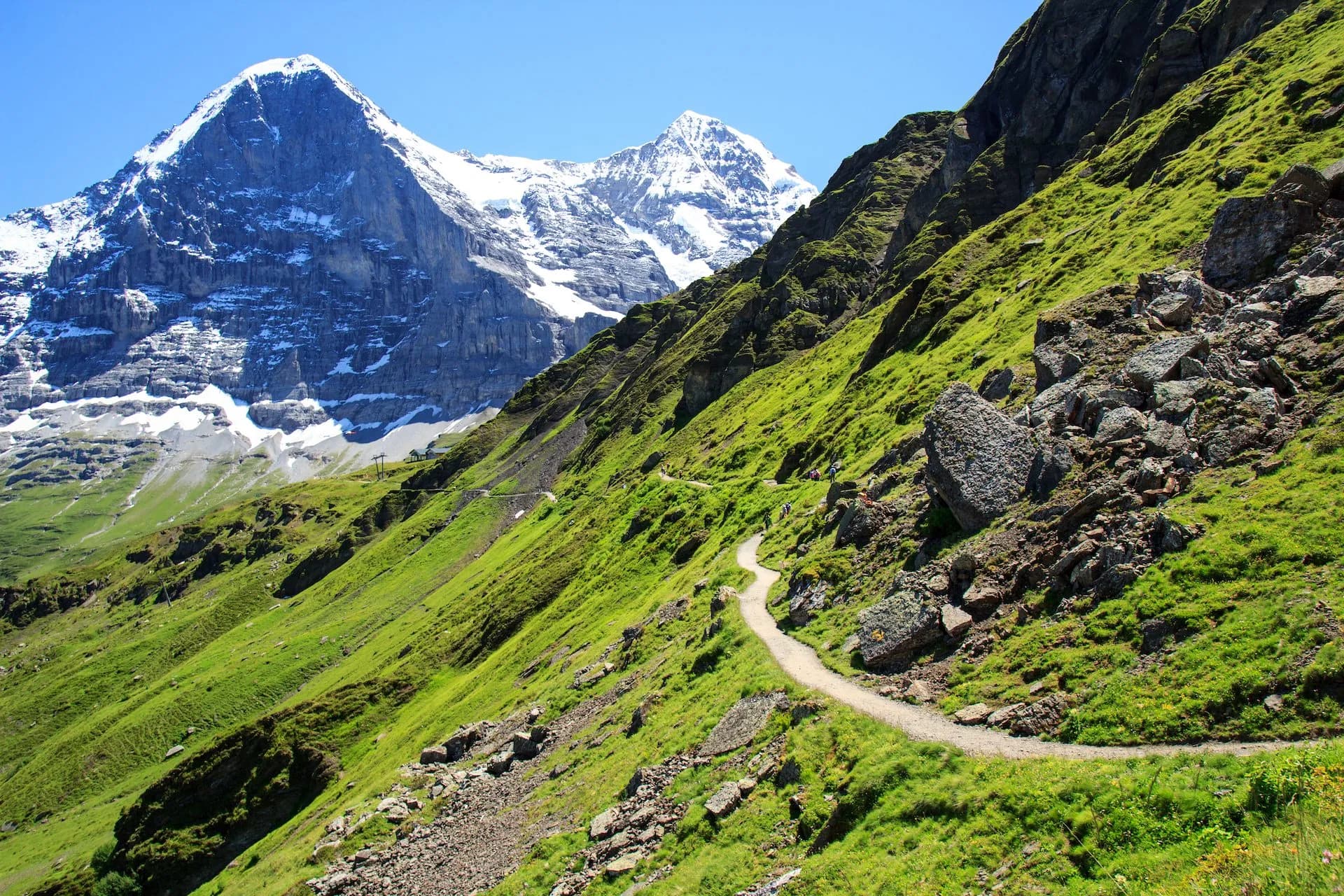 Hiking trail on green alpine slope toward snow-capped mountains on the Panorama Trail from Männlichen to Kleine Scheidegg.