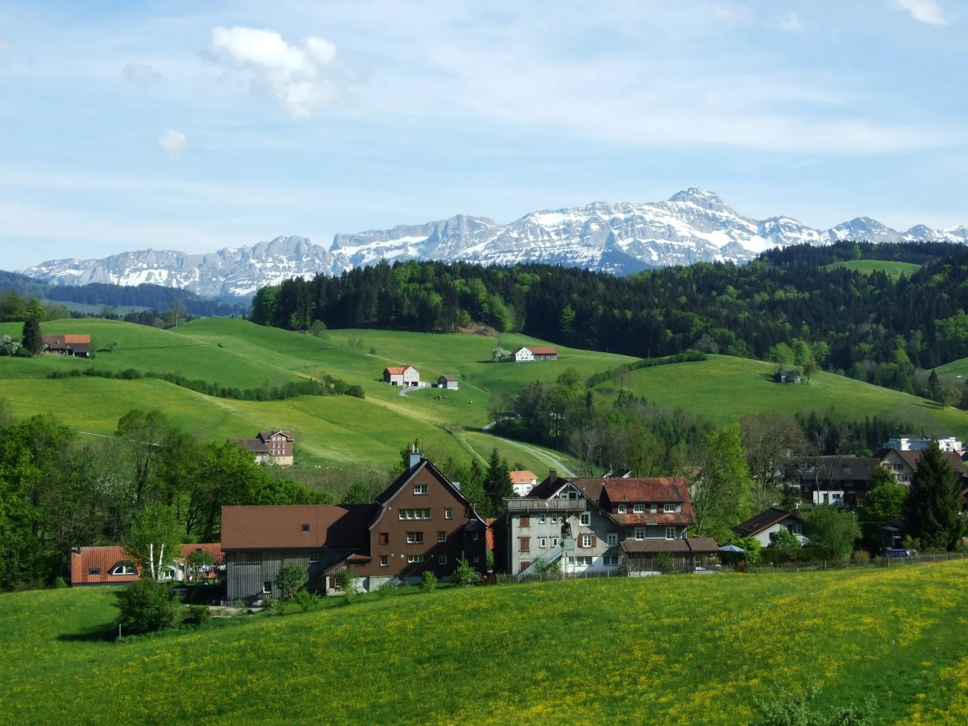 Typical herisau pastures and villages
