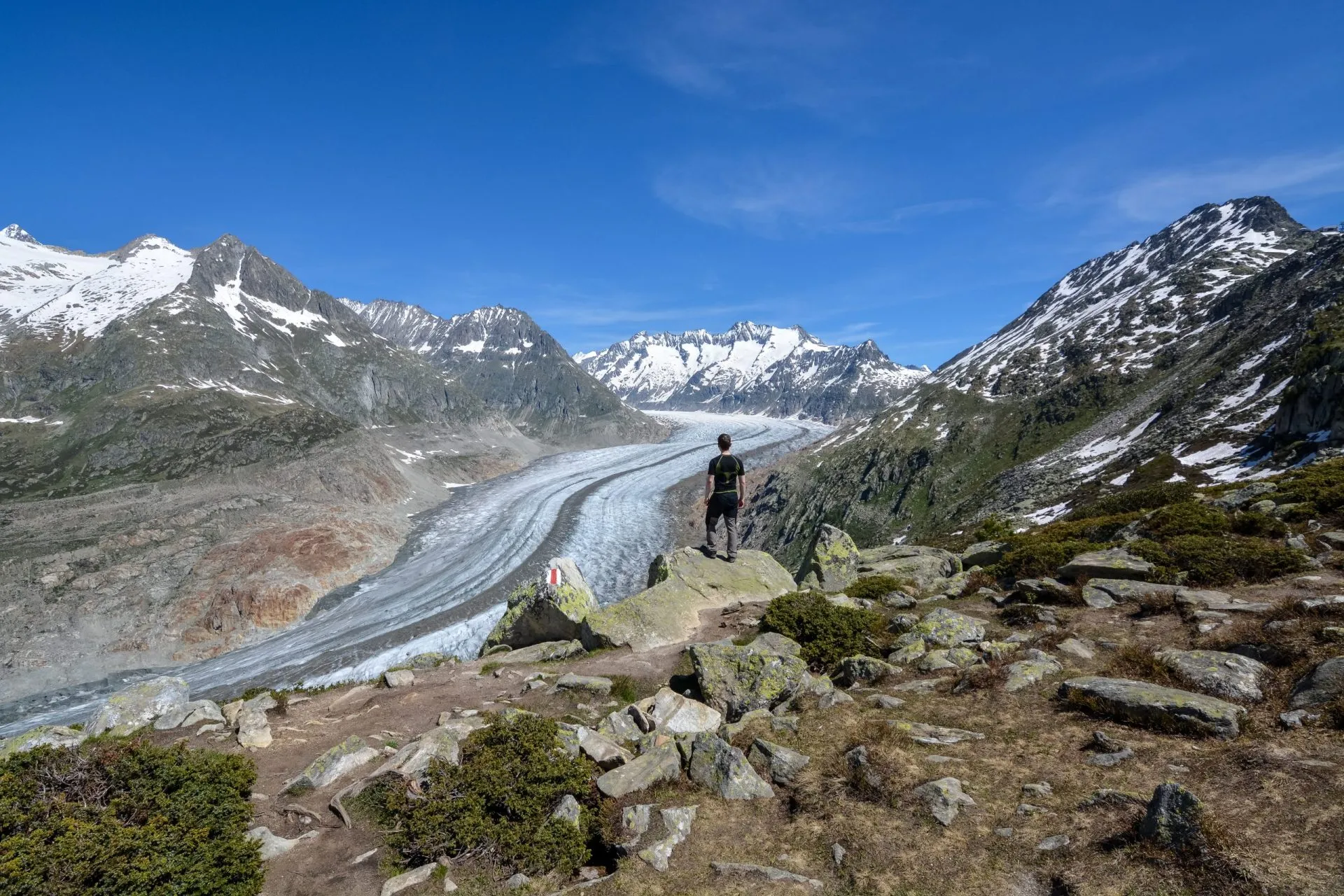View above the aletsch glacier